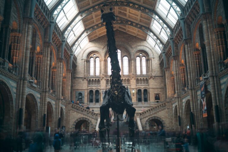 Natural History Museum, London, with the diplodocus dinosaur exhibit. Photo: Unsplash.com