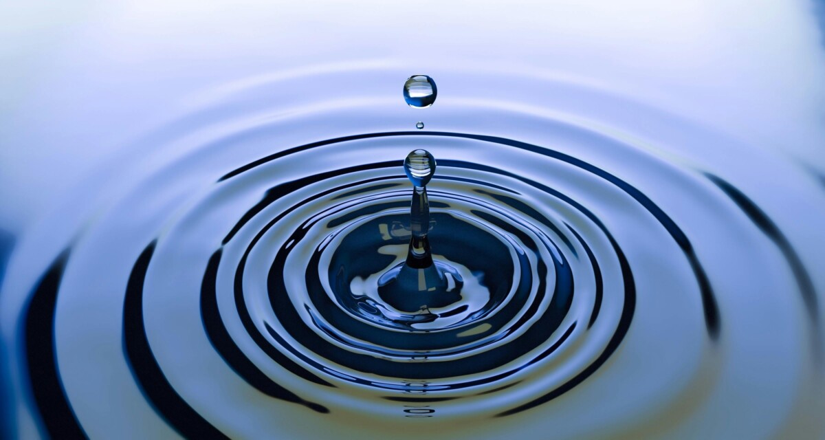 A water drop leaves ripples on a still surface.