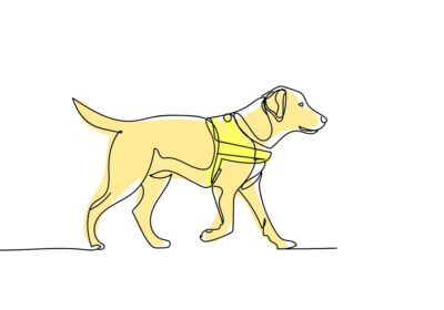 Coloured illustration of a guide dog