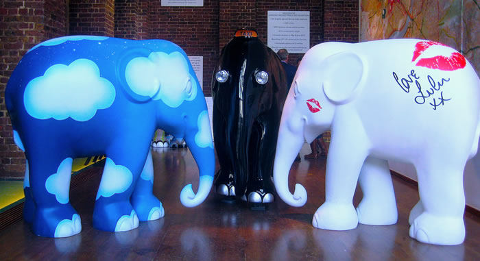 Salesforce elephants