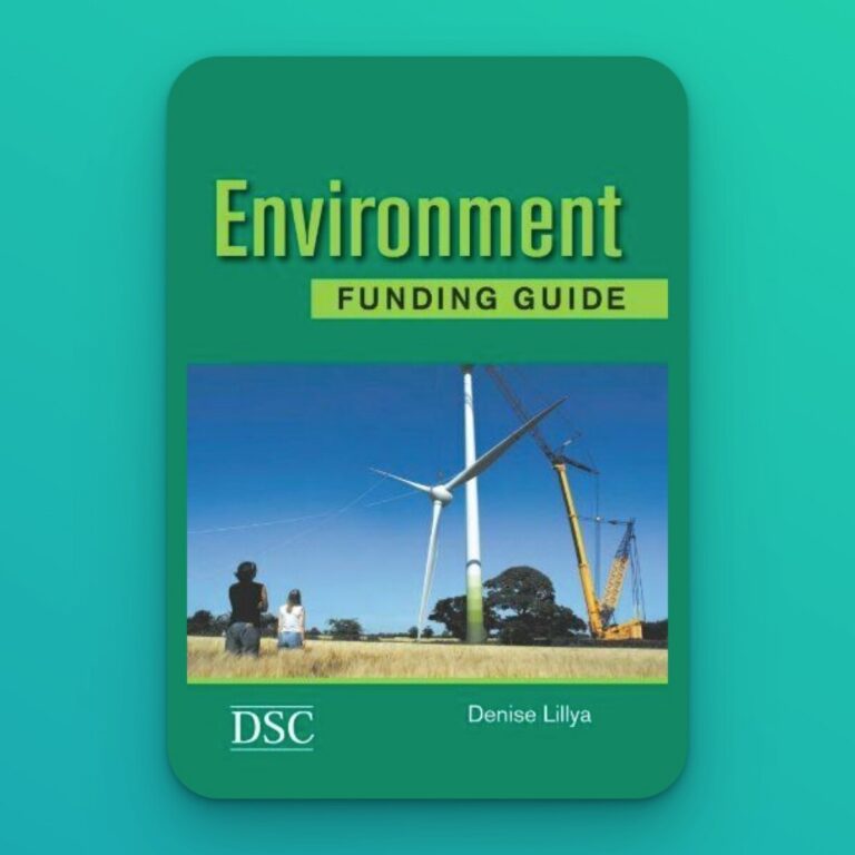 Environment Funding Guide by Denise Lilya - cover