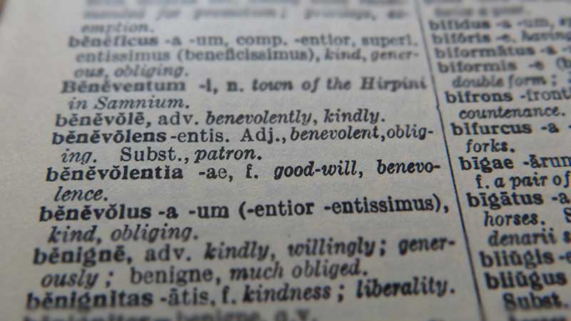 Benevolentia in the Latin to English dictionary