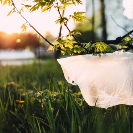 Discarded plastic bag amongst vegetation - photo: Pexels/Freestocks.org