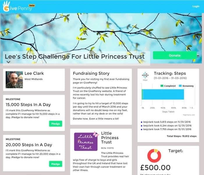 Lee's Step Challenge for Little Princess Trust - campaign on GivePenny