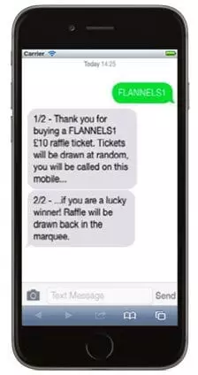 DONATE's raffle by text example - screenshot