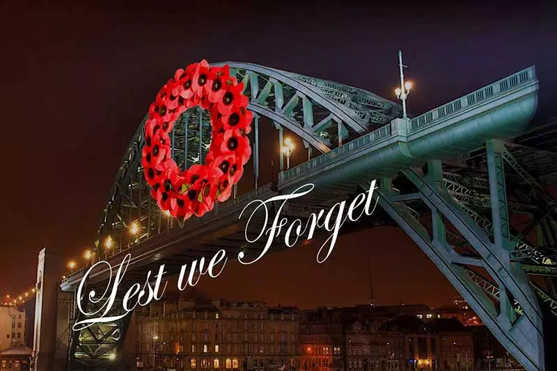 Lest We Forget - North East Poppy Luminaire