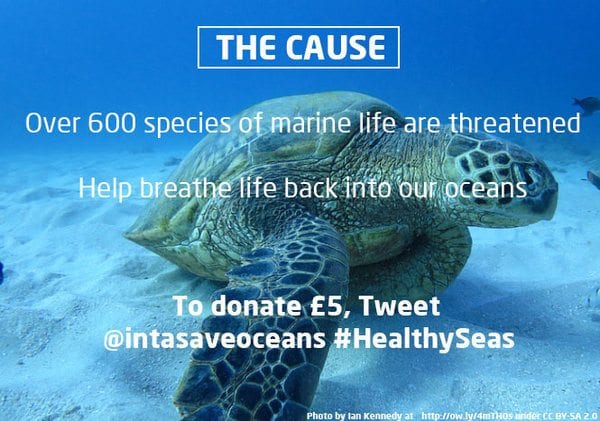 INTASAVE Oceans uses Tweet to Donate to help save the seas | UK Fundraising