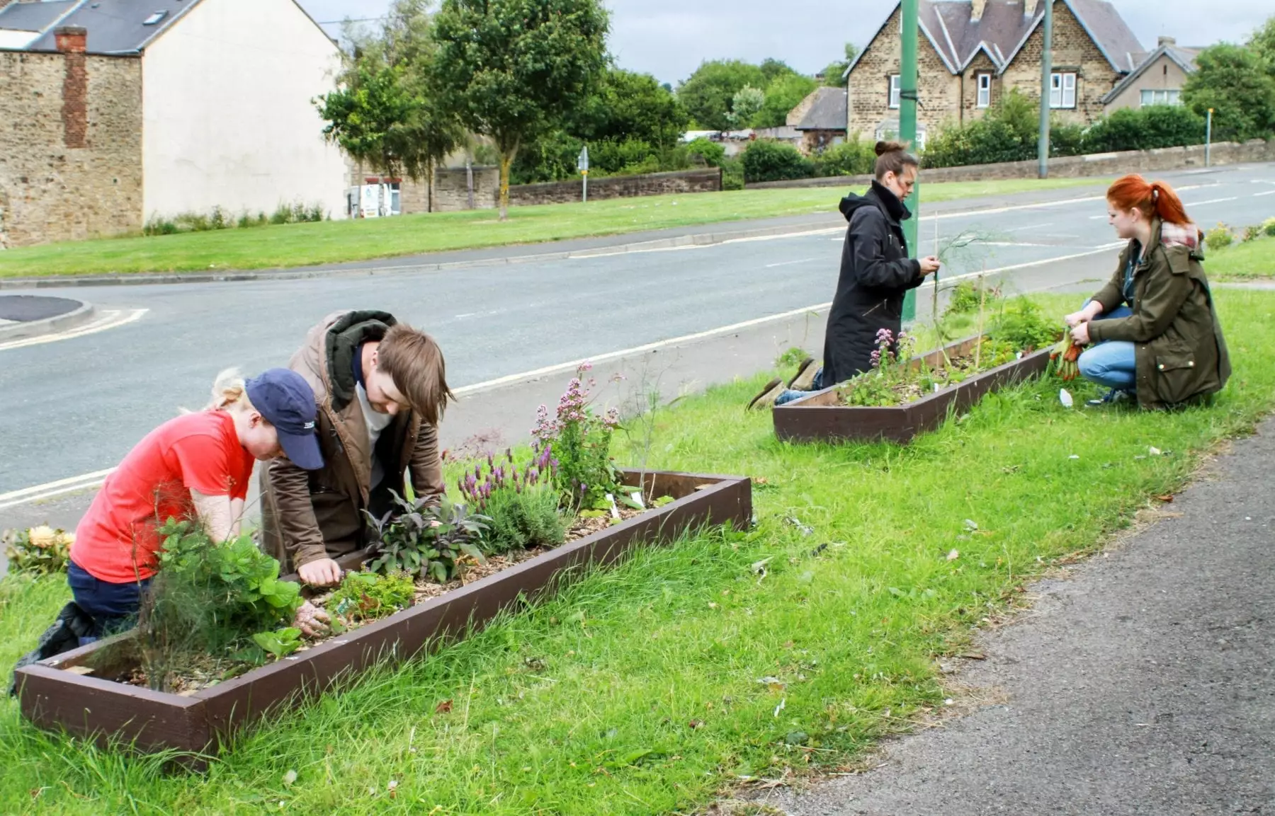 Community gardening scheme.