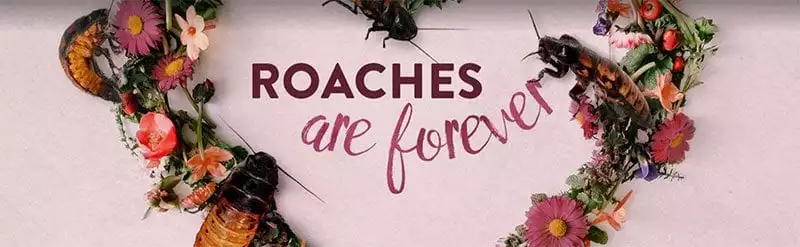 Roaches are forever - Valentine's Day fundraising