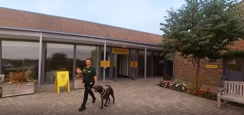 Reception in Dogs Trust VR film
