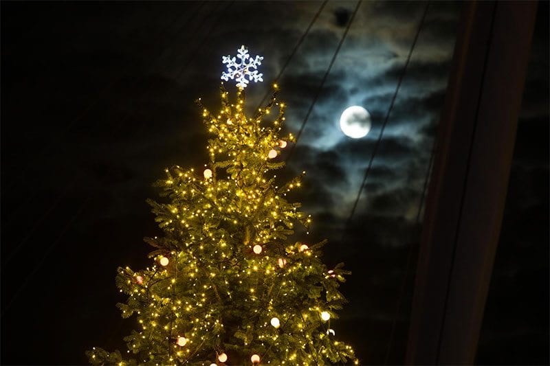 #LightUpXmas - a moonlit Marie Curie Christmas tree on London's Southbank