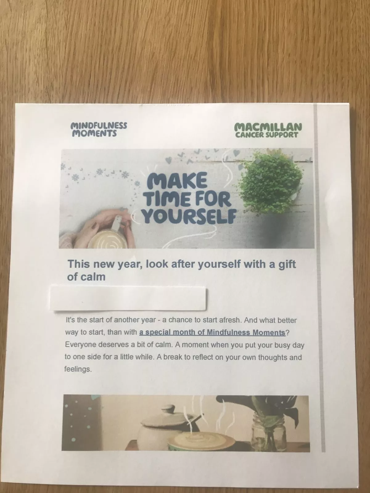 Macmillan fundraising appeal sent to a secret giver