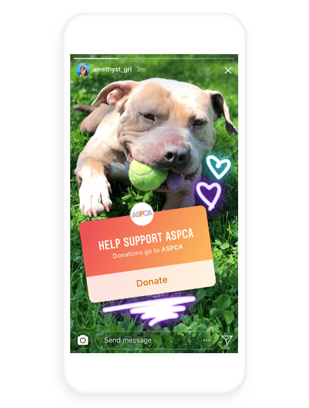 Animal charity using Instagram donations sticker