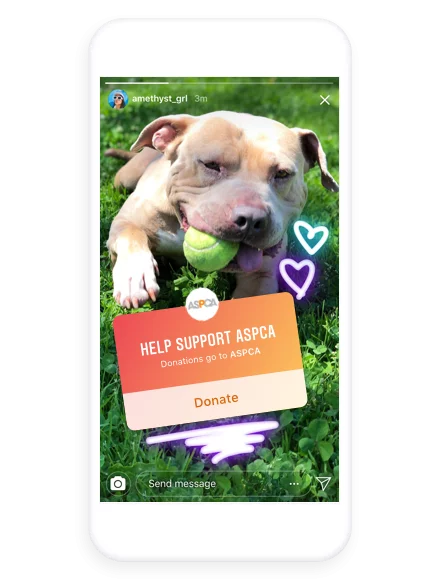 Animal charity using Instagram donations sticker