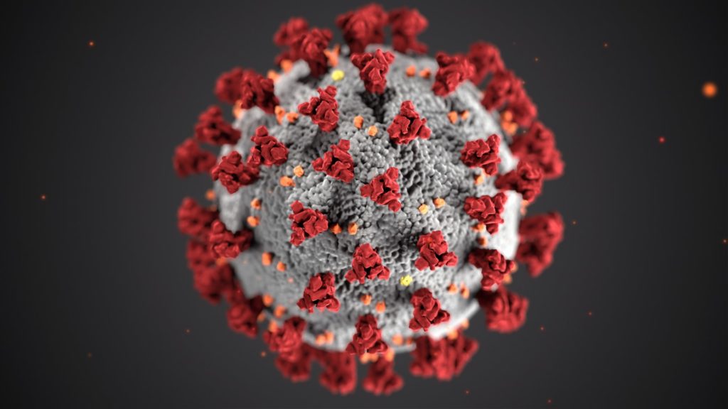 Coronavirus under the microscope - source: Centers for Disease Control, via Unsplash
