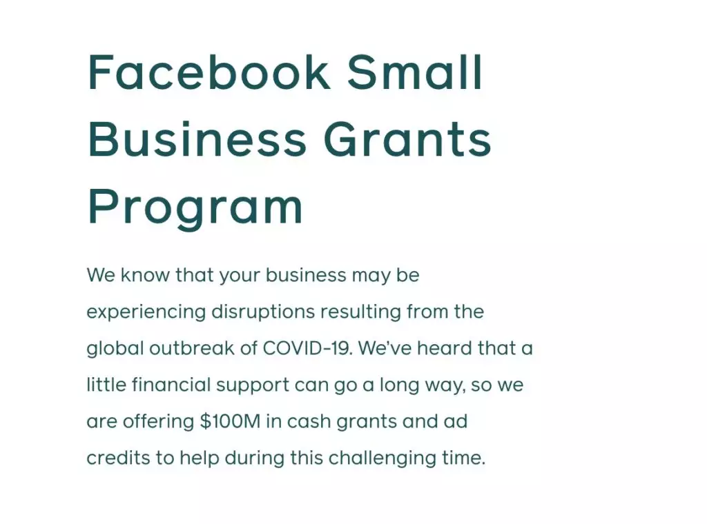 Facebook Small Business Grants Program information (text)