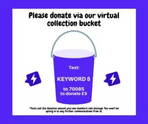 Virtual charity collection image template from donr.com