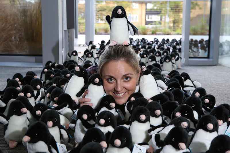 Rebecca Kinge with over 1000 WWF Adélie penguin adoption toys which have arrived to meet high demand since it was announced that John Lewis, whose Christmas advert features Monty the Penguin, is supporting the charity’s Adopt a Penguin programme. Photo: Gretel Ensignia/PA Wire