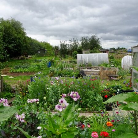 Boundary Way allotments