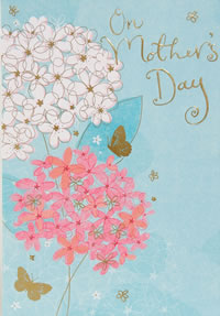 Hallmark Mothers Day Card