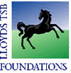 Lloyds TSB Foundations logo