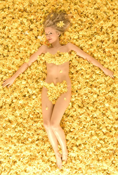 Sammy Winward in a bed of daffodils, a la image used for "American Beauty" movie