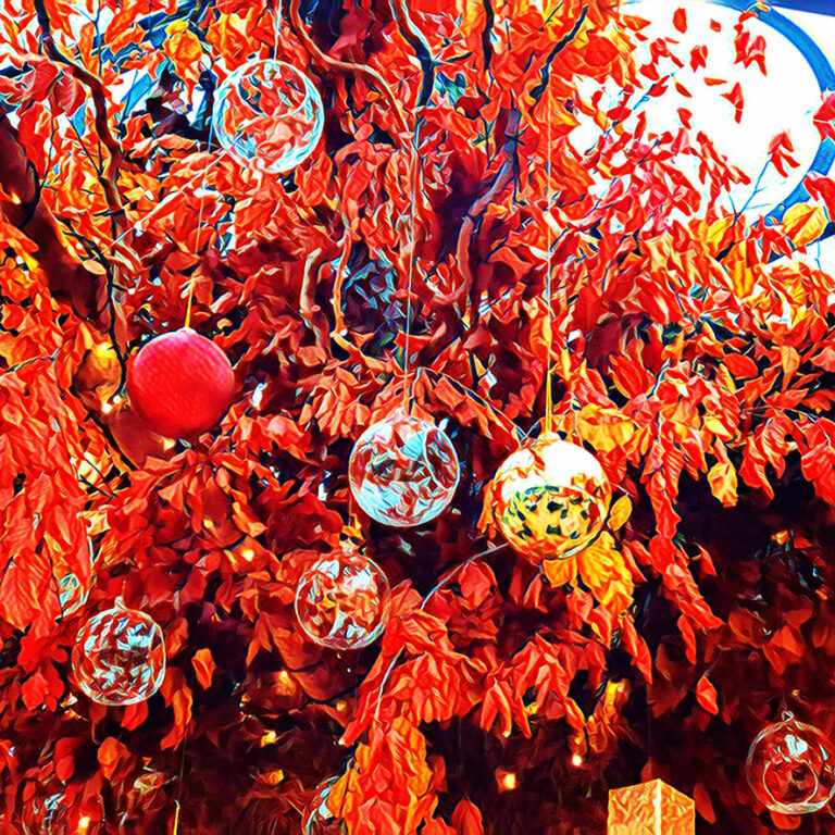 Christmas baubles. Photo: Howard Lake