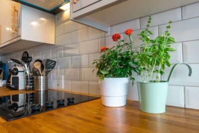 Kitchen with flowers and a pot of basil in it. Photo: Pexels.com