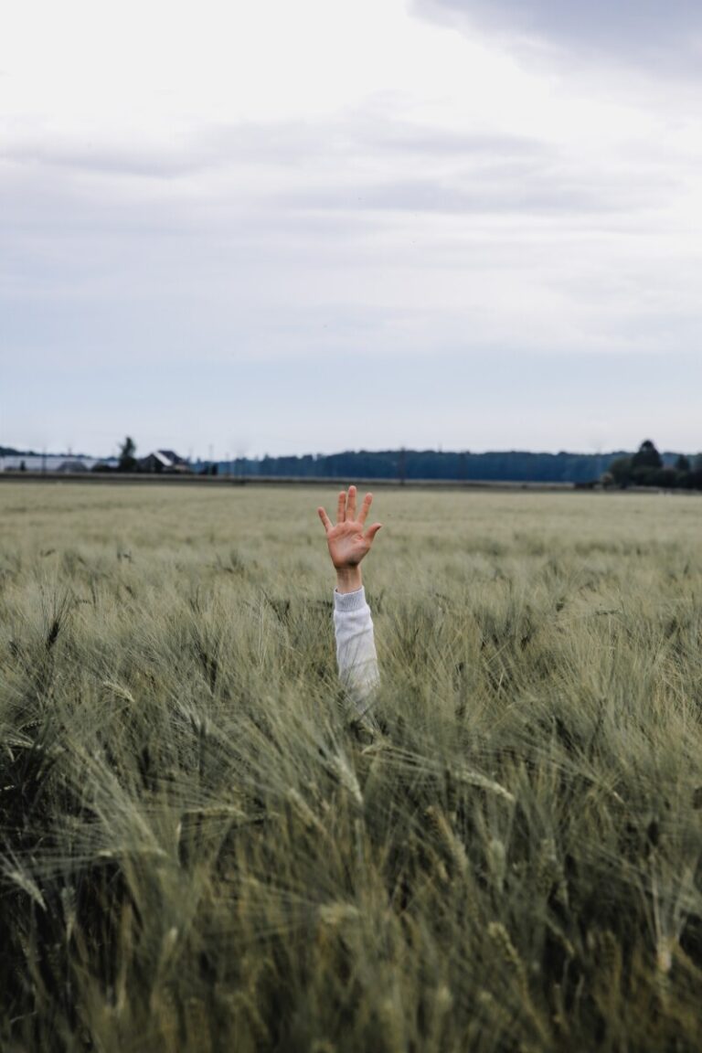 Raised hand in a field. Photo: Unsplash.com