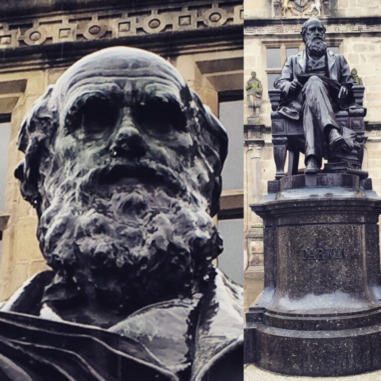 Charles Darwin statue, Shrewsbury - photos and composite: Howard Lake
