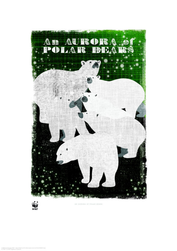 An aurora of polar bears - image: Woop Studios