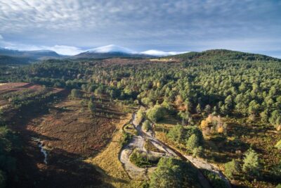 Abernethy Forest by James Shooter