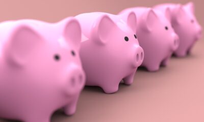 A row of pink piggy banks