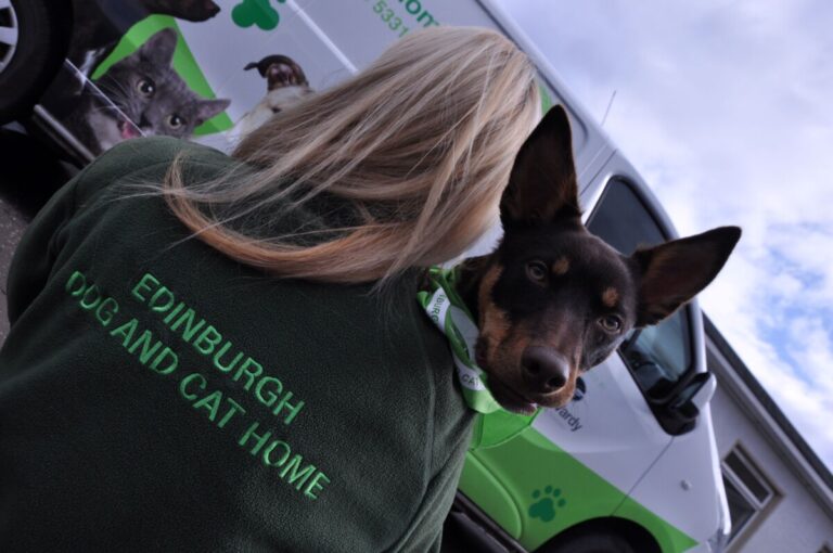 A woman in green Edinburgh dog and cat home fleece carries a black and tan dog towards a van
