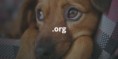 .org domain name, overlayed on a photo of a puppy. Created with pablo by Howard Lake