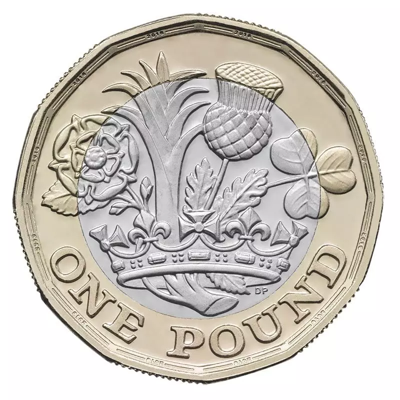 2017 design of one pound coin - reverse