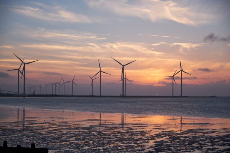 a wind farm out at sea at sunset