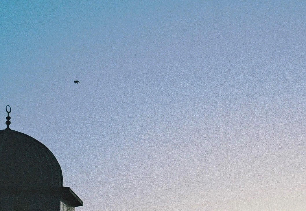Blue sky with minaret and single bird flying across. Photo: Mouna Kalla-Sacranie