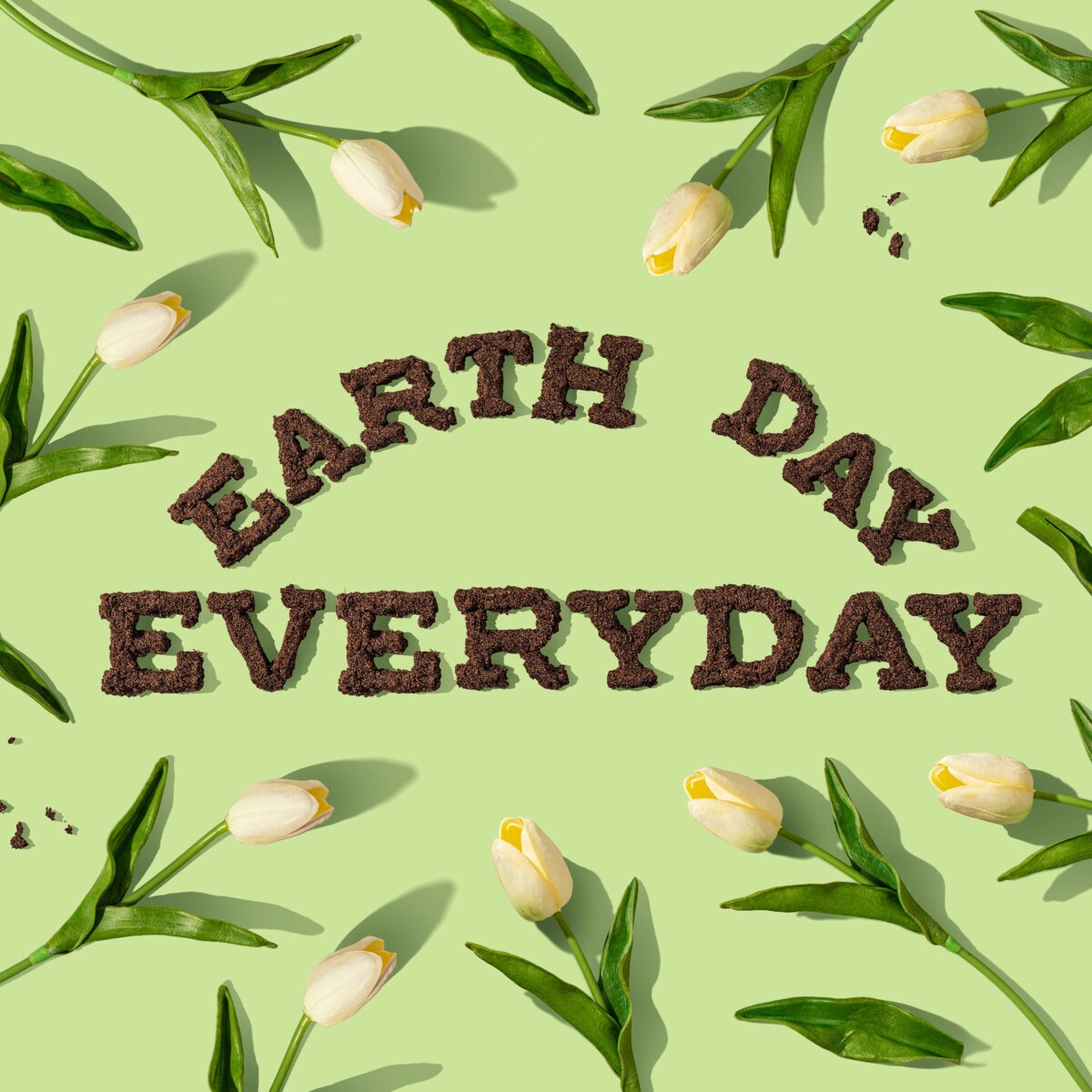 Earth Day Everyday - photo: Amy Shamblen on Unsplash.com