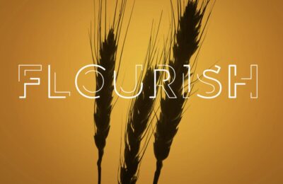 'Flourish' appears in capitals against ears of wheat against a warm golden sunset background, for Palladium's Challenge Fund