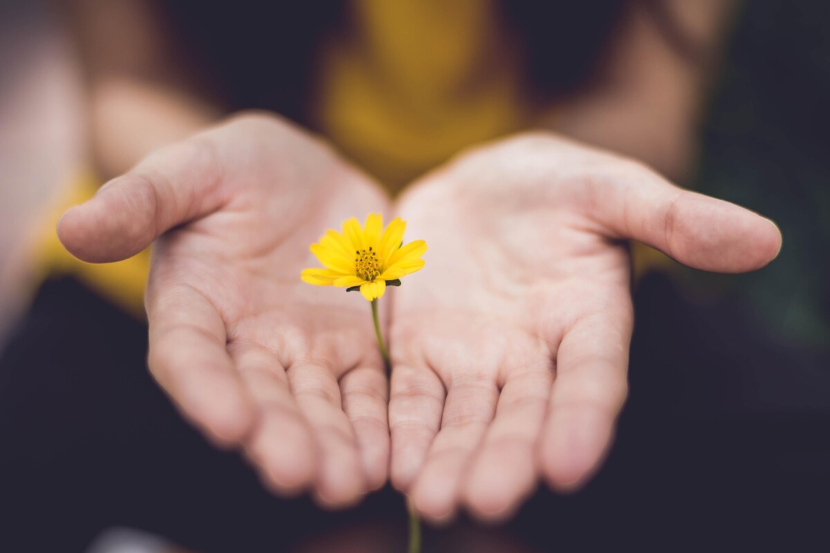 A woman's hands with a yellow flower between them. By Lina Trochez on Unsplash