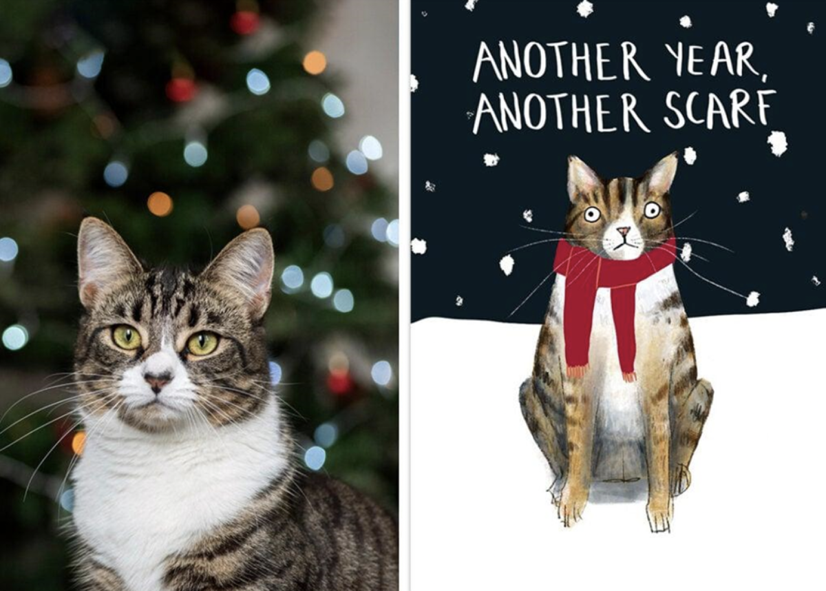 RSPCA card by Thortful with a cat on it, next to the real life cat it's based on.
