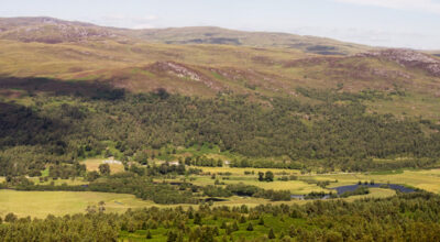 Dundreggan Rewilding Estate in the Highlands © Trees for Life