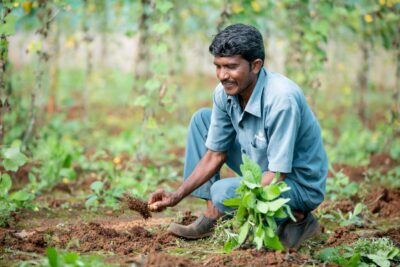 An Indian man with dark short hair and a moustache, smilles as he squats to plant crops. By Anil Sharma on Pexels