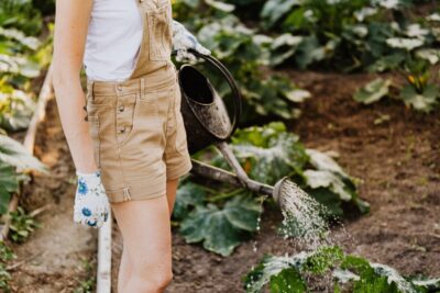 A woman in beige dungaree shorts waters vegetables in a garden. By Karolina Grabowska on Pexels