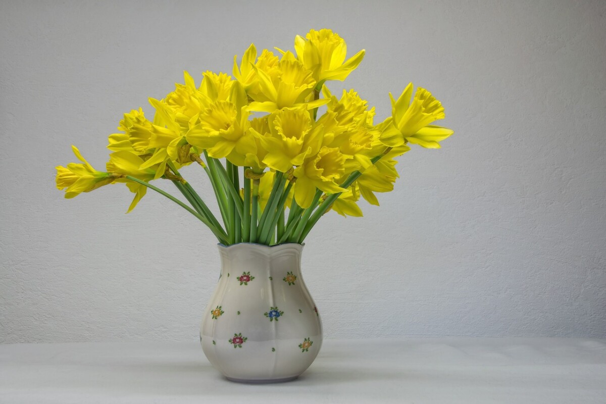 Daffodils in a vase by Michi-Nordlicht on pixabay