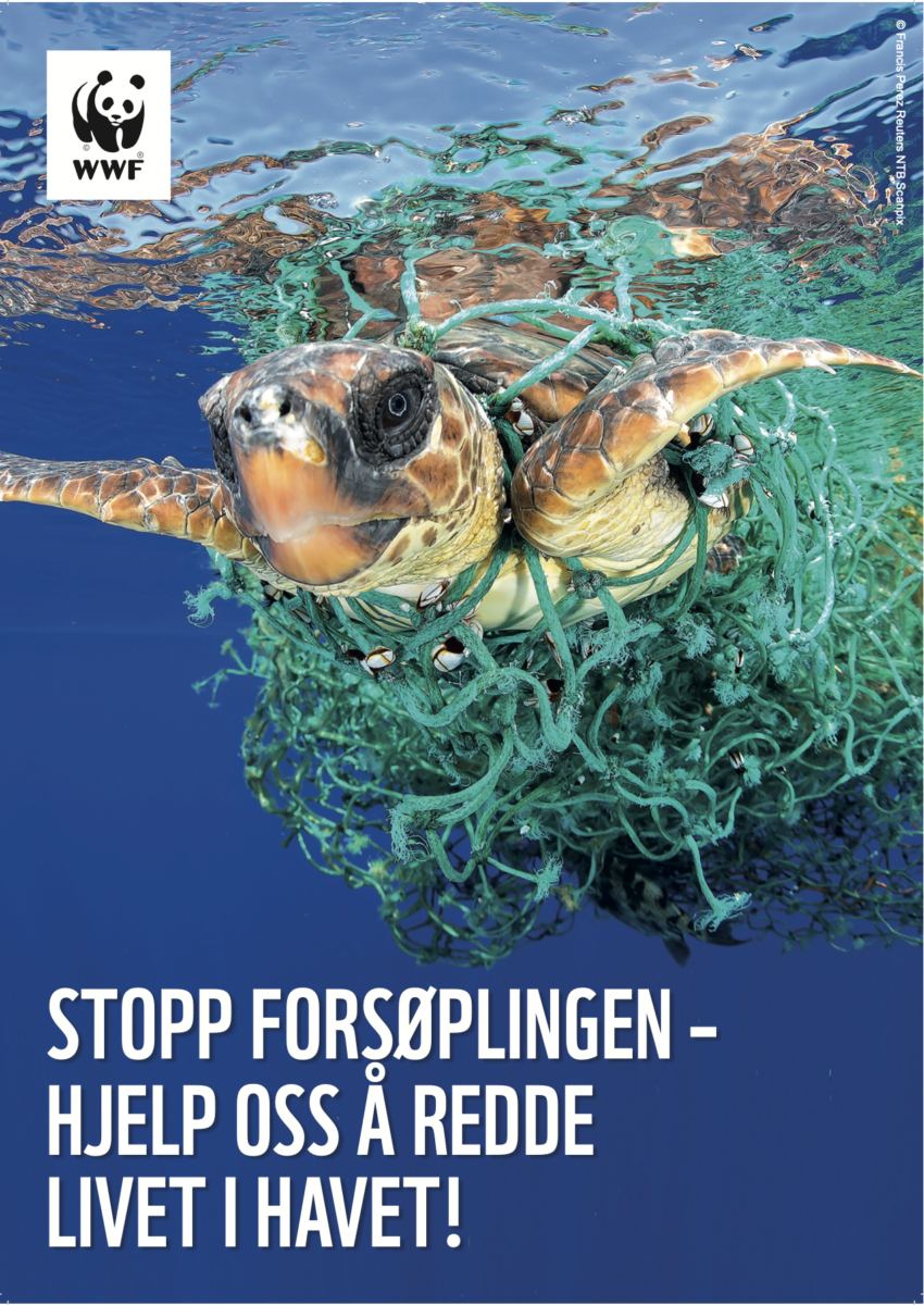 WWF Norway campaign image, featuring a turtle caught in green fishing nets