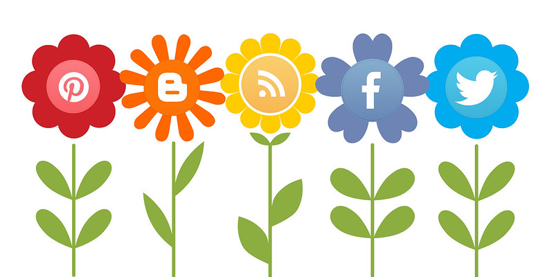 Growing social media. Illustration of five glowers, each with a social media channel in the centre of its bloom e.g. Facebook, Twitter, Blogger and Pinterest