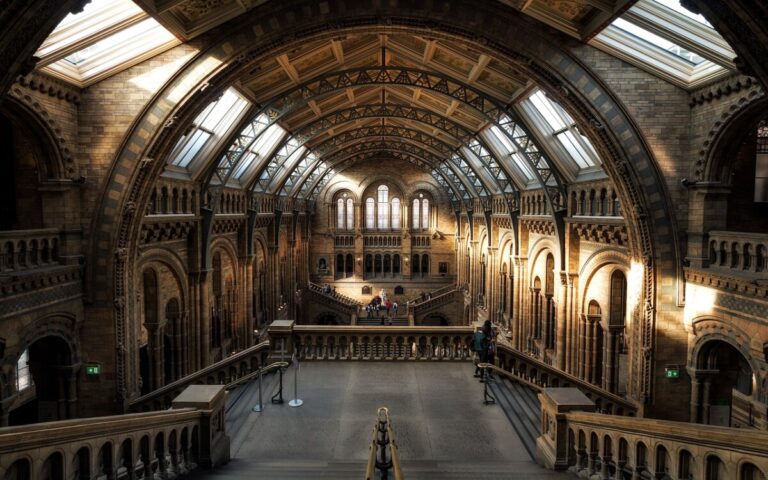 Sunlight falls through the skylights at London's Natural History Museum. By Public Co on Pixabay