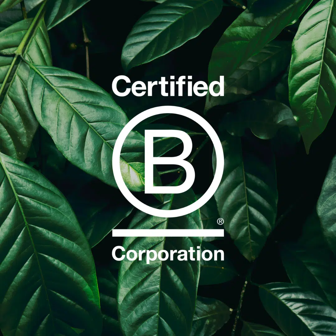 B Corp logo